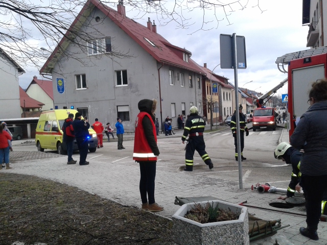 Pokazno – terenska vježba “Delnice 2017.”