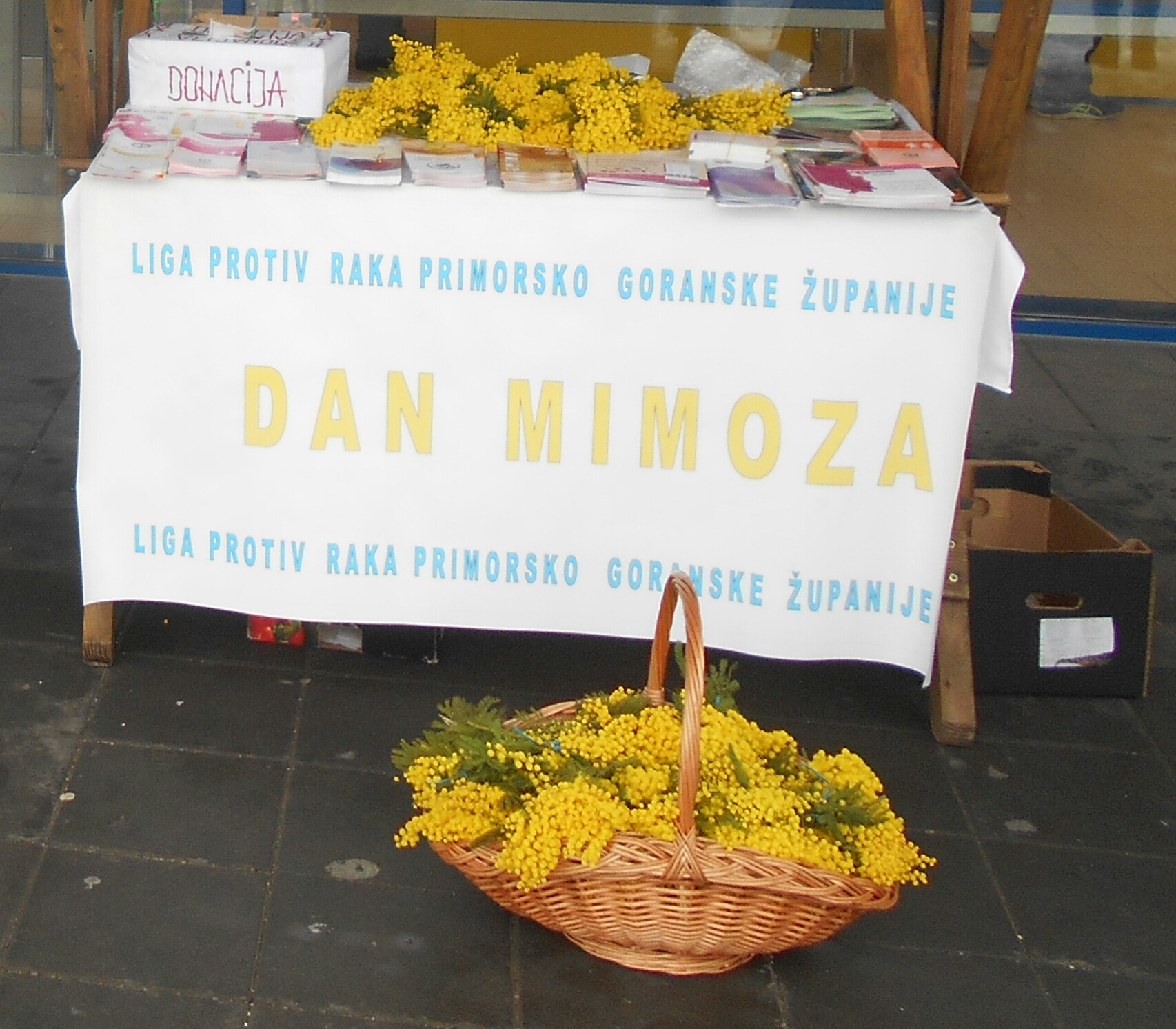 Dan mimoza u Lokvama i Delnicama